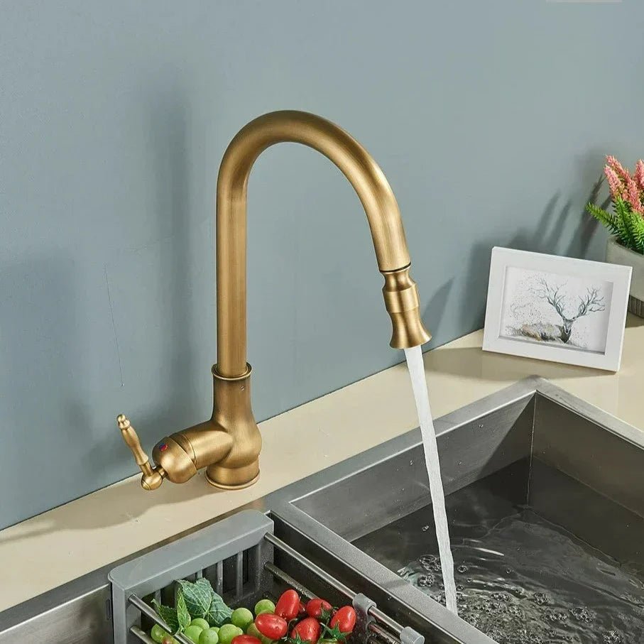 SmartSpout Pull-Out Kitchen Faucet