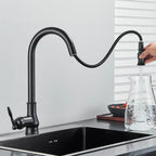 SmartSpout Pull-Out Kitchen Faucet