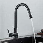 SmartSpout Pull-Out Kitchen Faucet