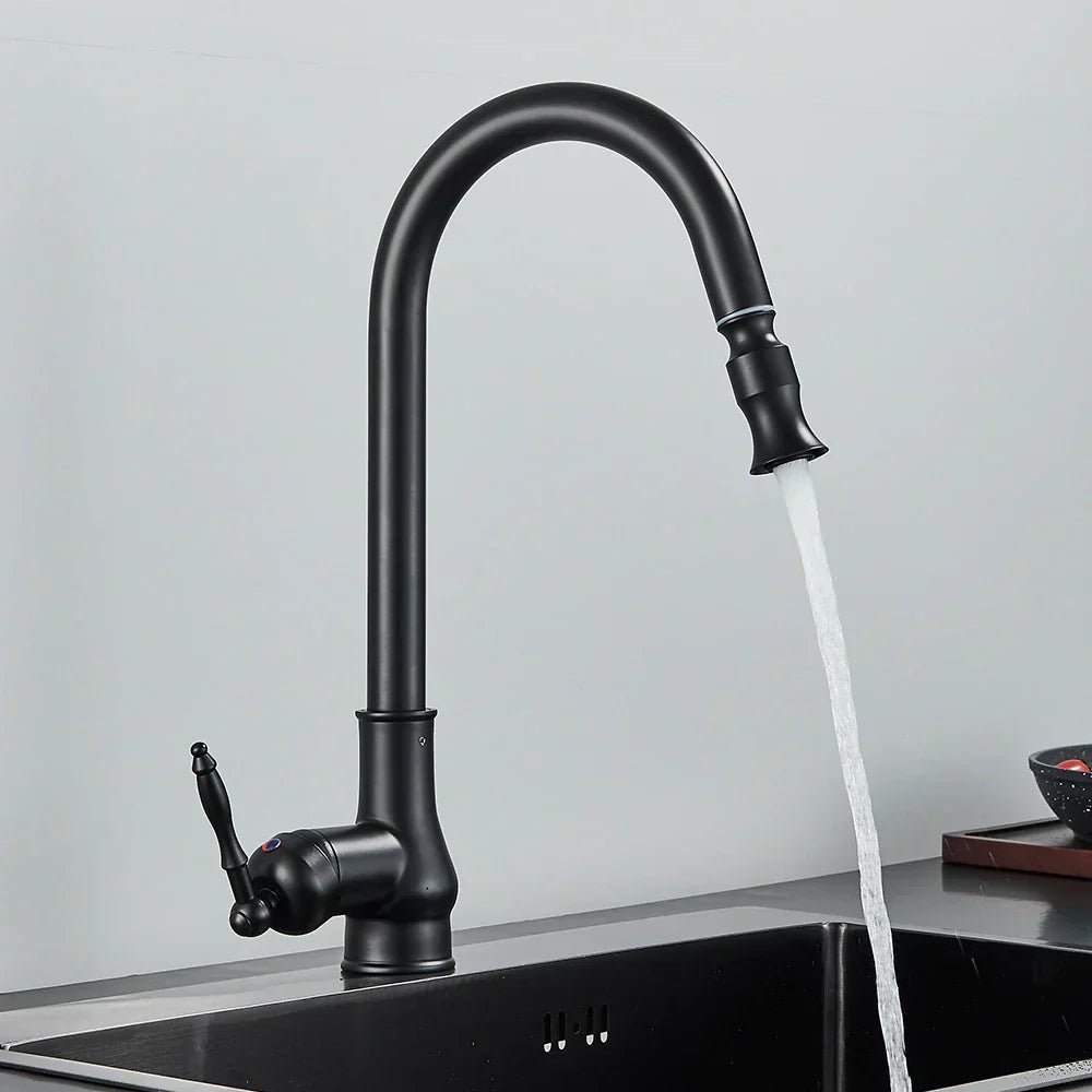 SmartSpout Pull-Out Kitchen Faucet