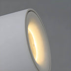 LumiFlex Rotatable Wall Sconce