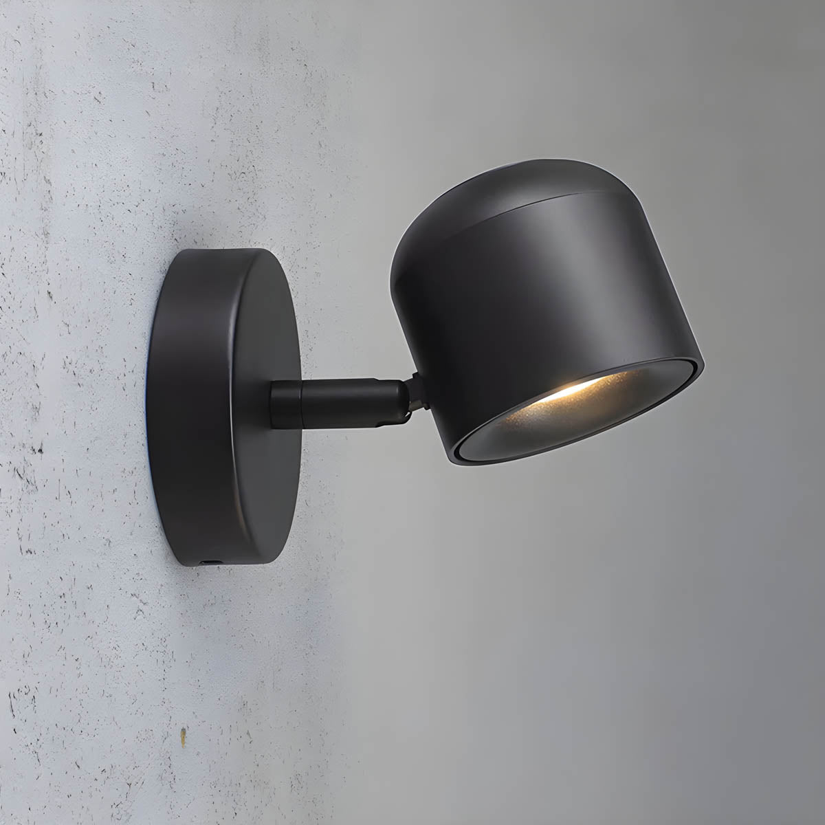 LumiFlex Rotatable Wall Lamp