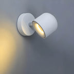 LumiFlex Rotatable Wall Sconce