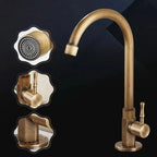 GoldenSwan Gooseneck Faucet