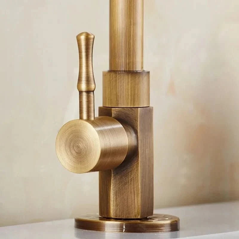 GoldenSwan Gooseneck Faucet