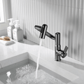 AquaTwist 360 Kitchen Faucet - LivingLX