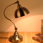 Archer Bronze Gooseneck Desk Lamp (22")