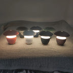 LumiFlex Cordless Table Lamp