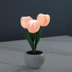 LumiTulip Elegant Table Lamp