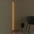 RGB Corner Floor Lamp