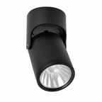 Adjustable LED Ceiling Spotlight | Black or White Directional Surface Mount Light