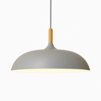 Sola Wood & Aluminum Pendant Light | Wide Colorful Shade