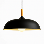 Sola Wood & Aluminum Pendant Light | Wide Colorful Shade