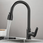 SwiveLux 360 Kitchen Faucet - LivingLX