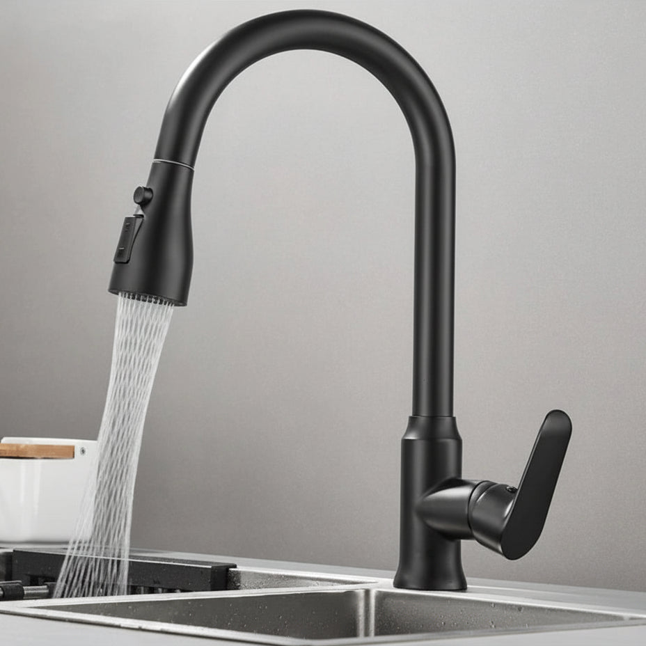 SwiveLux 360 Kitchen Faucet - LivingLX