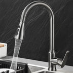 SwiveLux 360 Kitchen Faucet - LivingLX